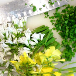 partially chopped wild leeks and oxalis flowers