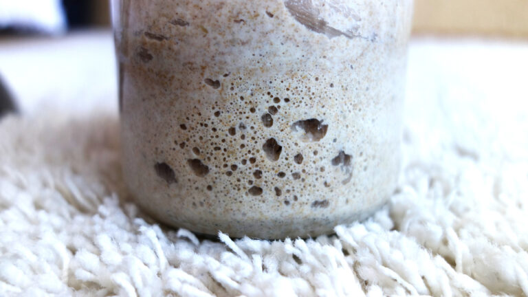 Workshop: Massa Mãe. Sourdough 1.0 PT Workshop: Massa Mãe. Sourdough 1.0 PT