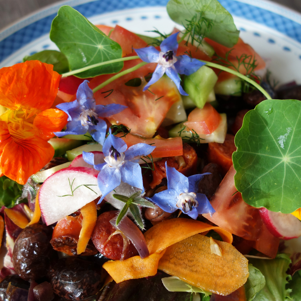 Wild edible - Borage Wild edible - Borage